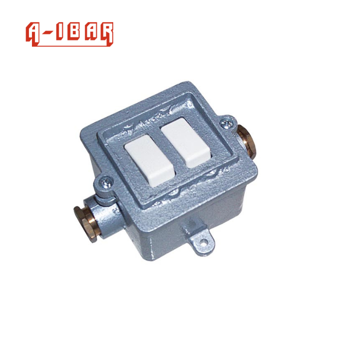 INTERRUPTOR INDUSTRIAL S/TAPA DOBLE 15A (IRD/15)